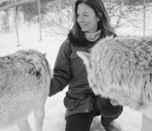 Catherine Fairweather stroking a wolf in Norway