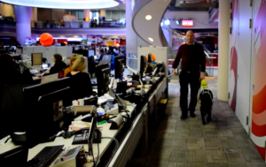 Journalist walking assistance dog wearing reflector in BBC newsroom